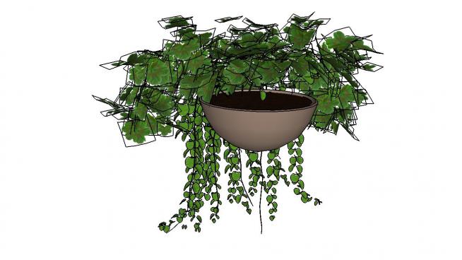 盆栽吊篮植物VXI模型
