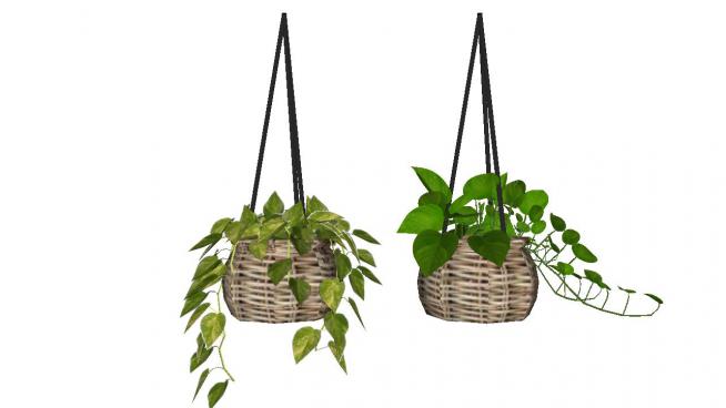 吊篮装饰品绿萝植物模型