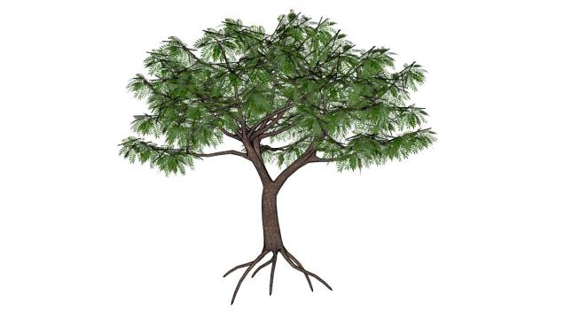 ľ��С�ͳ���ģ��