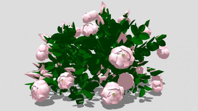 粉色玫瑰花模型