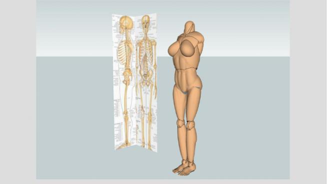 Ů���� ��ṹģ��