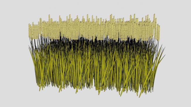 ����С�󵾹�ũ������ʳģ��