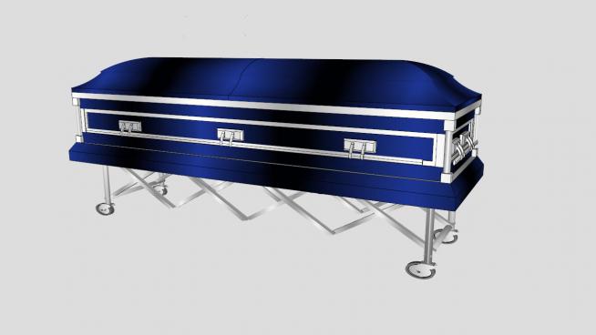 ���� �ݳ�SUģ��