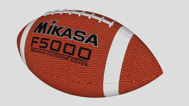 �����SUģ��