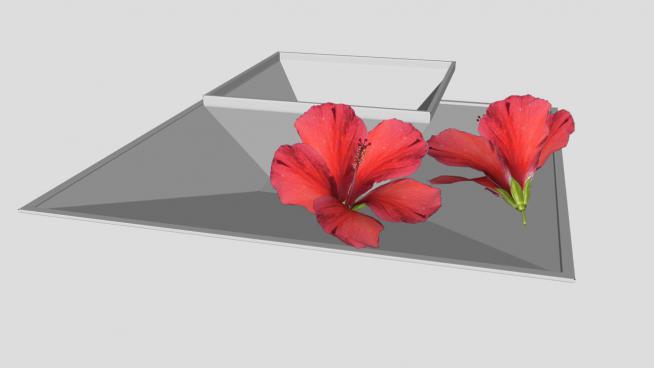 红色的花瓣SKP模型设计模型
