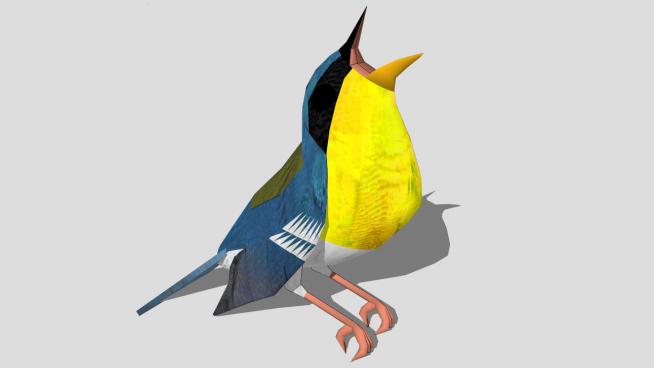热带森莺鸟SU模型