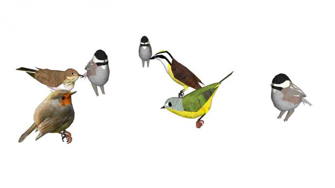 3D小鸟模型（麻雀，喜鹊，杜鹃）模型