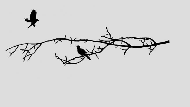 树枝上的小鸟SU模型
