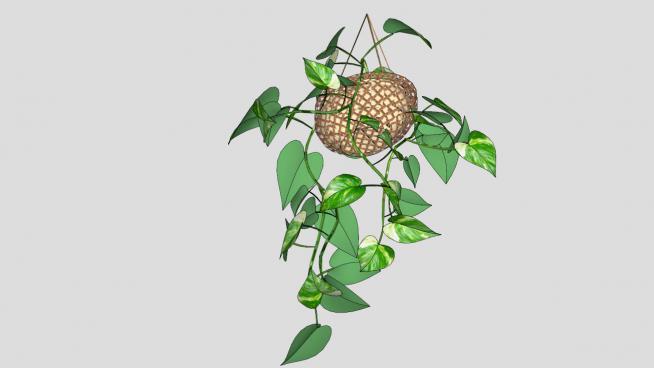 吊篮绿萝植物模型