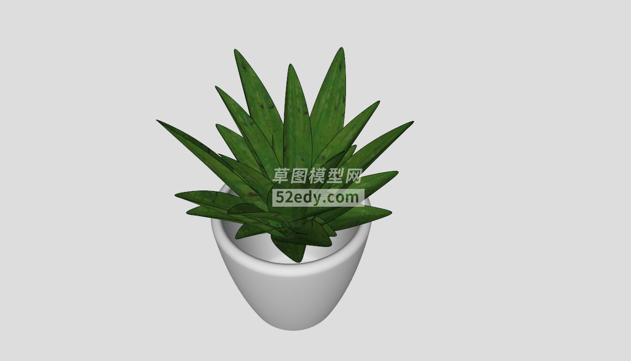 �J�C盆栽植物模型QQ�g�[器截�D20190425101830 - 副本(4)