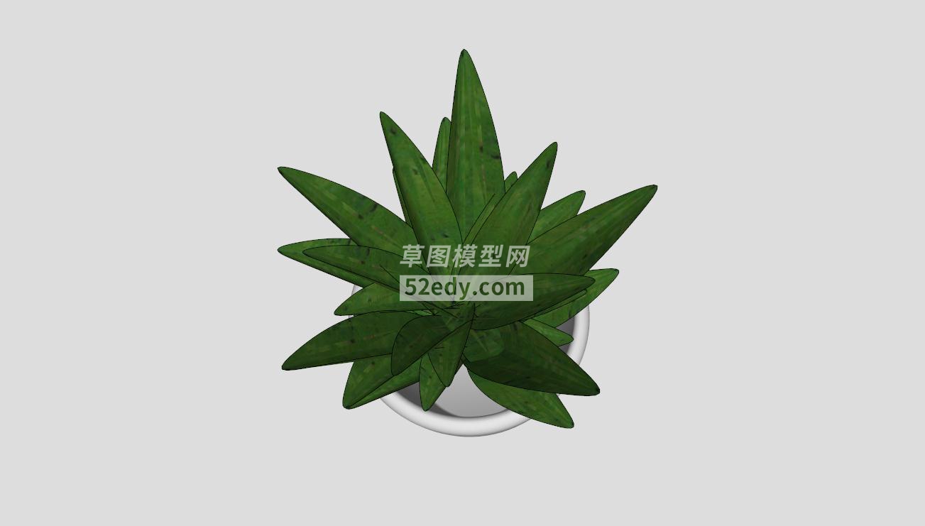 �J�C盆栽植物模型QQ�g�[器截�D20190425101846 - 副本(3)