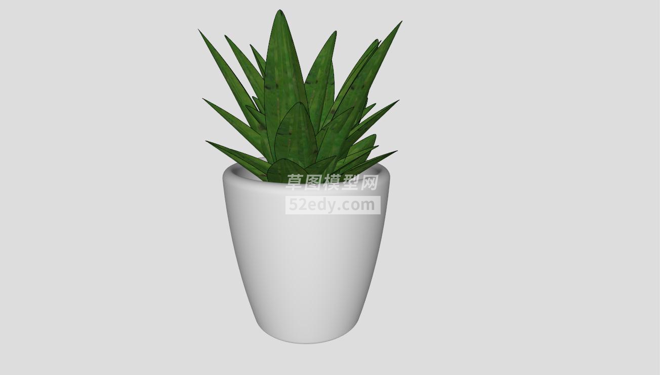 �J�C盆栽植物模型QQ�g�[器截�D20190425101853 - 副本(1)