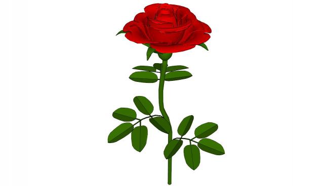 一枝漂亮的玫瑰花SU模型