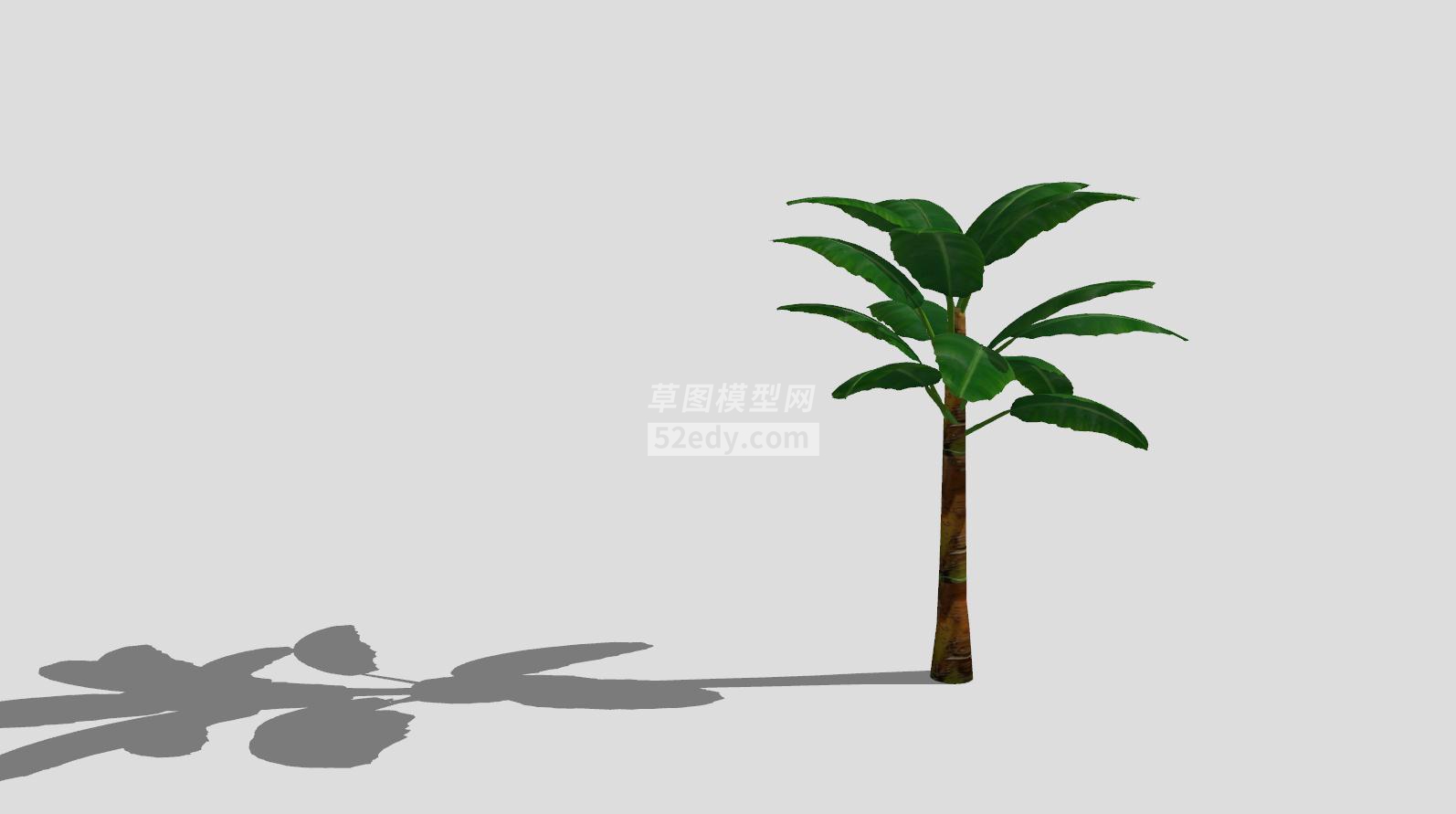 草本植物芭蕉树SU模型QQ浏览器截图20190605091942(1)