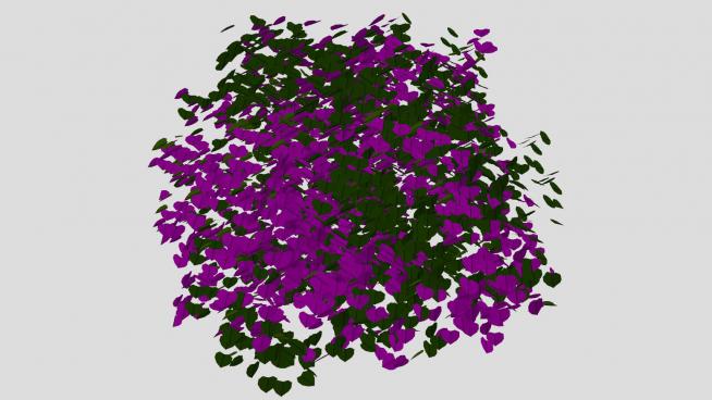紫叶绿叶小灌木SU模型