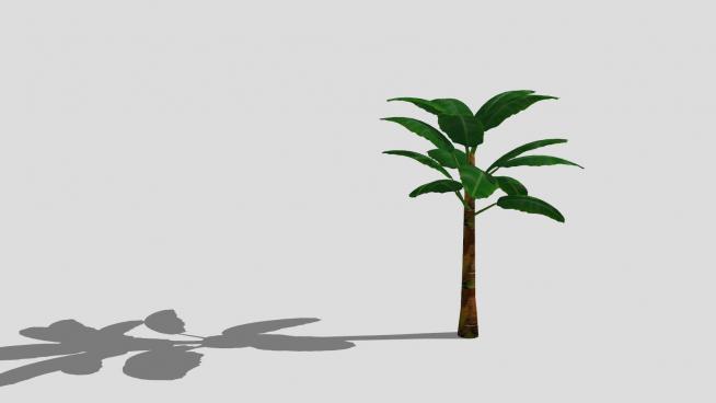 草本植物芭蕉树SU模型QQ浏览器截图20190605091942(1)