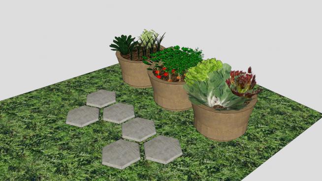 花园盆栽果蔬植物SU模型
