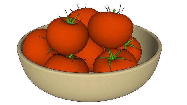 碗中的10��西�t柿SU模型
