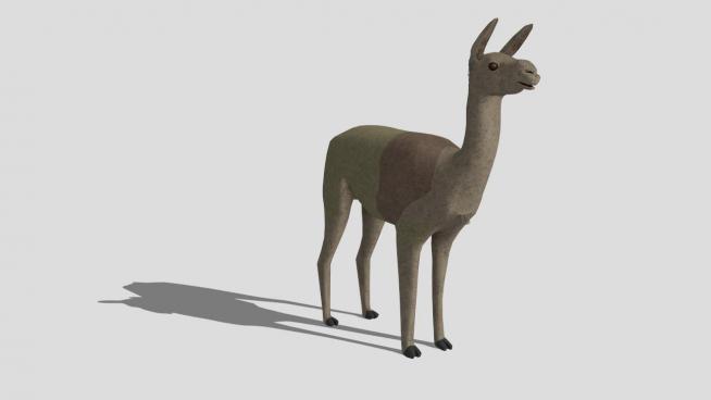 骆驼科动物羊驼SU模型