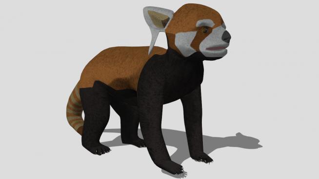 哺乳纲动物红熊猫SU模型