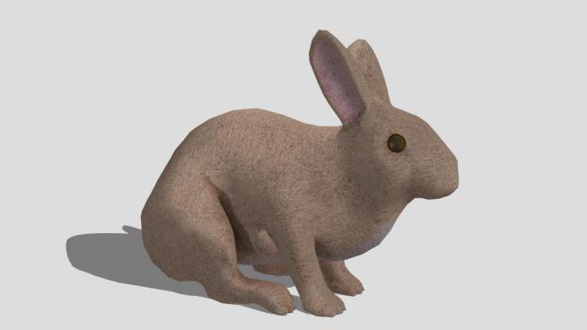 草食性动物兔子SU模型