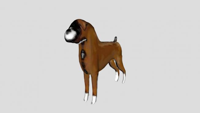 哺乳动物狗SU模型