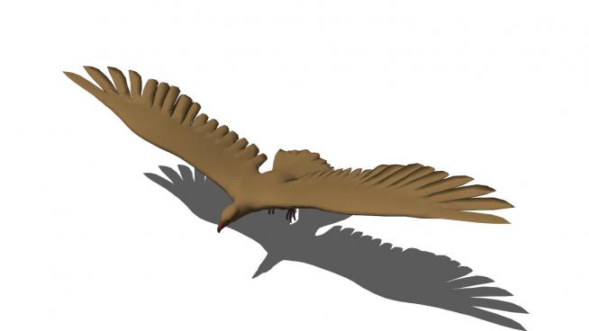 鹰动物SU模型