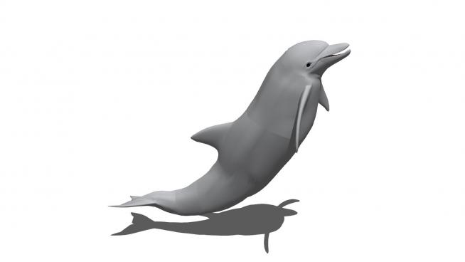 �L�海豚SU模型