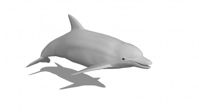 �F代海豚sketchup模型