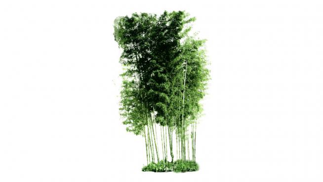 现代竹林树景SU模型
