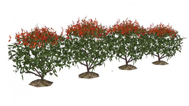 灌木花丛su模型