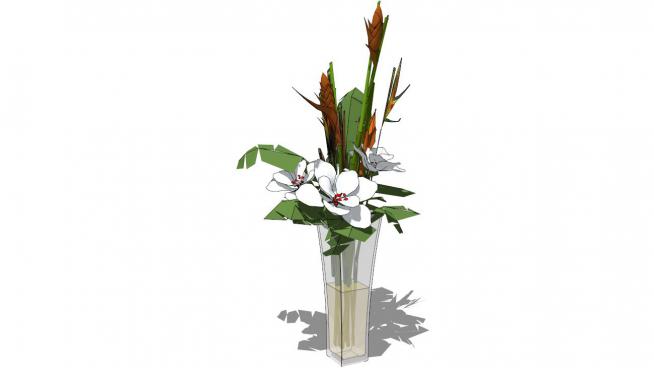 玻璃植物花瓶su模型
