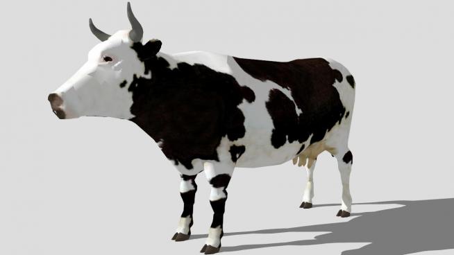 牛sketchup模型