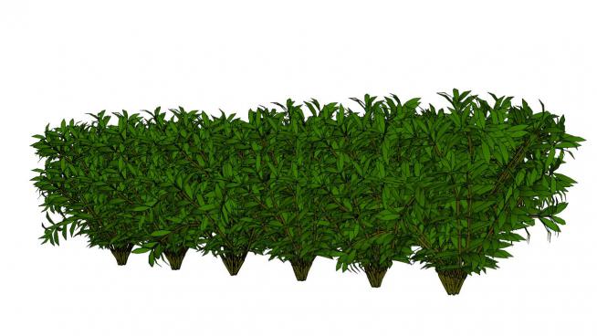 灌木skp模型